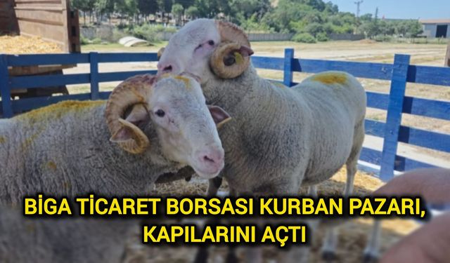 Biga Ticaret Borsası Kurban Pazarı, kapılarını açtı
