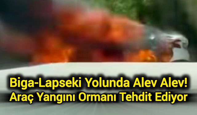 Biga-Lapseki Yolunda Alev Alev! Araç Yangını Ormanı Tehdit Ediyor