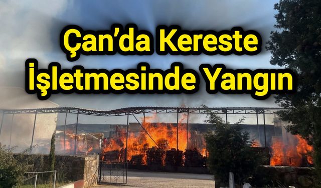 Çanakkale Çan’da kereste işletmesinde yangın