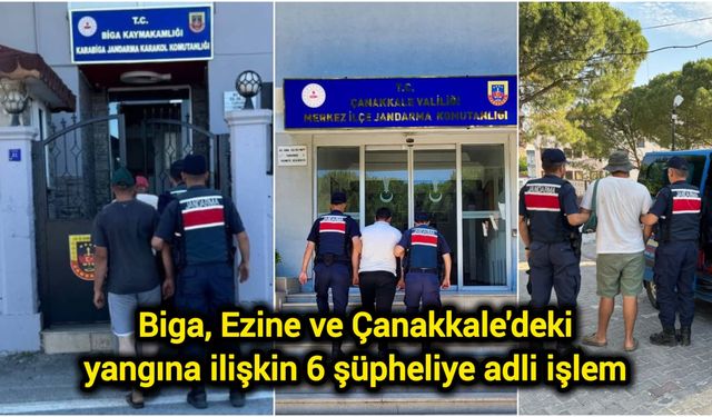 Biga, Ezine ve Çanakkale'deki yangına ilişkin 6 şüpheliye adli işlem