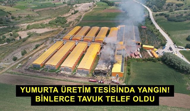 Yumurta üretim tesisinda yangın! Binlerce tavuk telef oldu