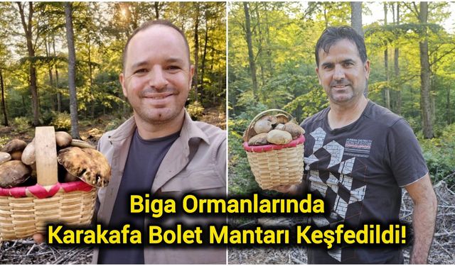 Biga Ormanlarında Karakafa Bolet Mantarı Keşfedildi!
