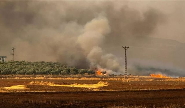 500 dönümlük alanda çıkan yangına müdahale ediliyor