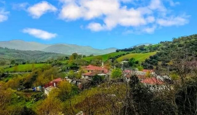 Muhtarlık Uyardı: Biga Camialan’da yasaklandı
