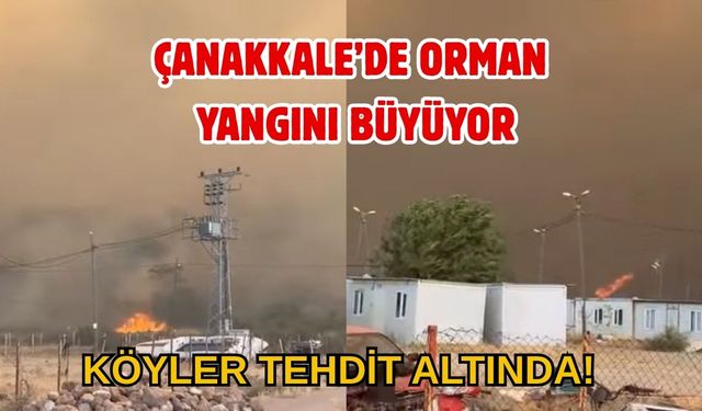 Çanakkale’de Orman Yangını Büyüyor: Köyler Tehdit Altında!