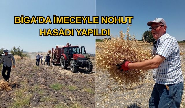 Çanakkale Biga’da imeceyle nohut hasadı yapıldı