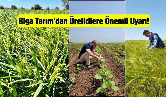 Biga Tarım’dan Üreticilere Önemli Uyarı!