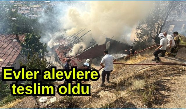 Evler alevlere teslim oldu