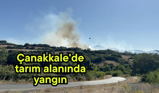 Çanakkale’de tarım alanında yaygın