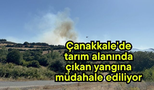 Çanakkale'de tarım alanında çıkan yangına müdahale ediliyor