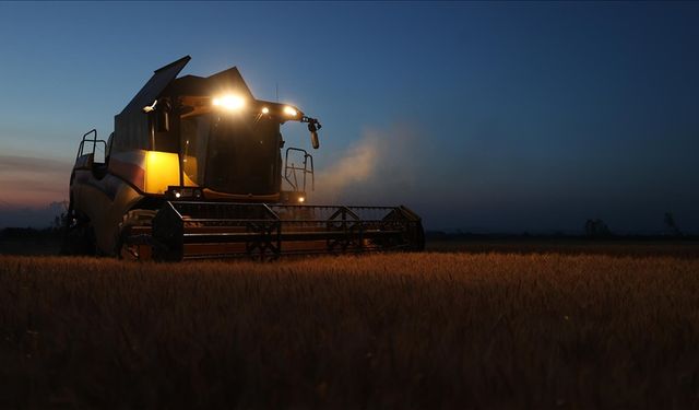 Aşırı sıcak nedeniyle buğday hasadı gece yapılıyor