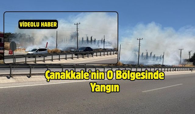 Çanakkale 'de Yangın Paniği!