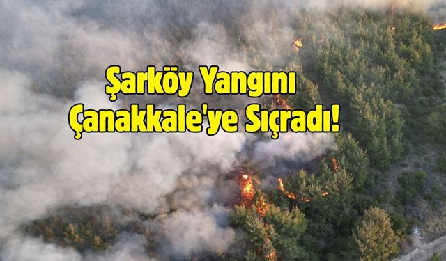 Tekirdağ'da çıkan orman yangını Çanakkale'ye sıçradı