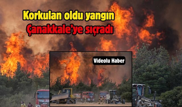 Korkulan oldu yangın Çanakkale'ye sıçradı