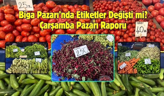 Biga Çarşamba Pazarı'nda Yaz Bereketi Fiyatlara Yansıdı
