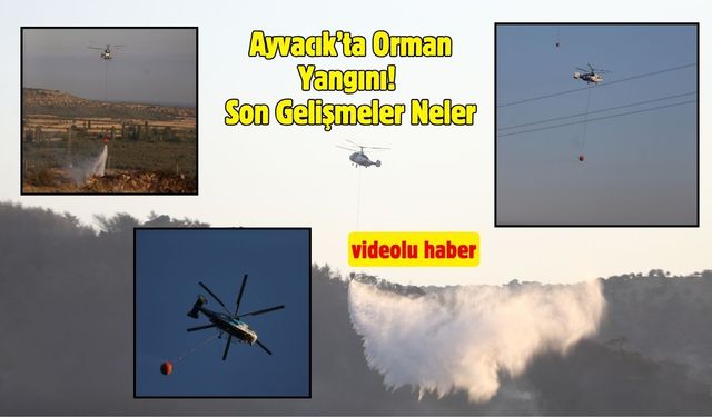Ayvacık’ta Orman Yangını! Son Gelişmeler Neler?
