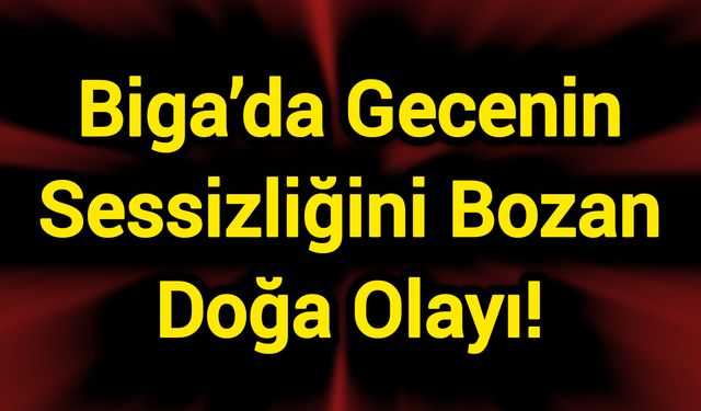 Çanakkale Biga’da Gecenin Sessizliğini Bozan Doğa Olayı!