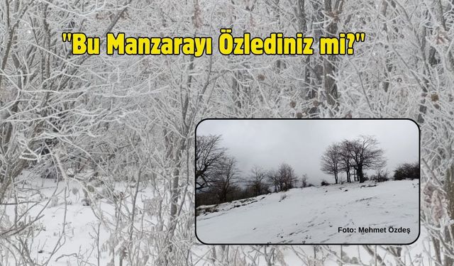 "Bu Manzarayı Özlediniz mi?"