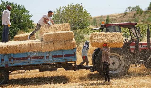 Balya işçileri kavurucu sıcakta mesai yapıyor