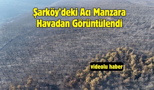 Şarköy’deki Acı Manzara Havadan Görüntülendi