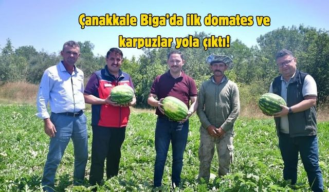 Çanakkale Biga’da ilk domates ve karpuzlar yola çıktı!