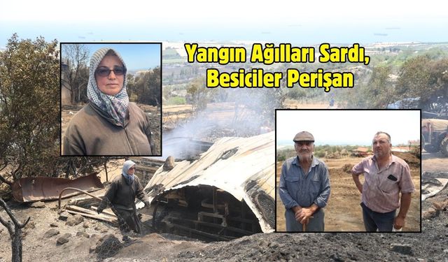 Yangın Ağılları Sardı, Besiciler Perişan