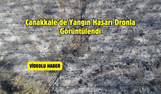 Çanakkale’de Yangın Hasarı Dronla Görüntülendi