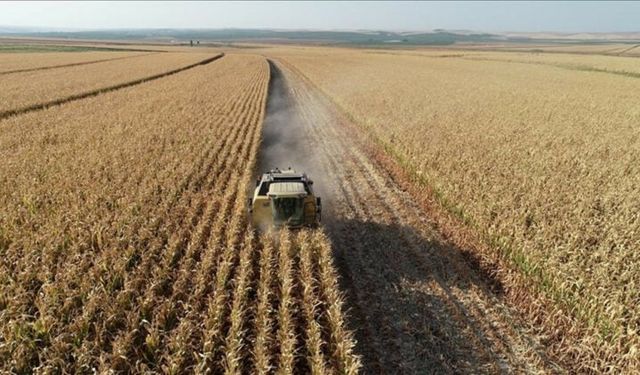 İki Yıl Ekilmeyen Tarım Arazileri Kiraya Verilecek