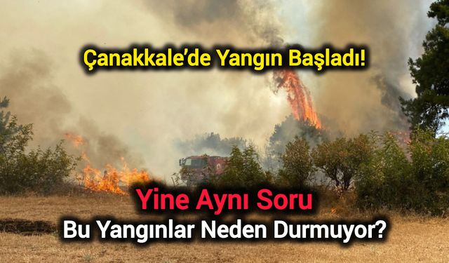 Çanakkale’de Yangın Başladı! Yine Aynı Soru: Bu Yangınlar Neden Durmuyor?