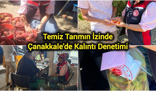 Temiz Tarımın İzinde: Çanakkale’de Kalıntı Denetimi