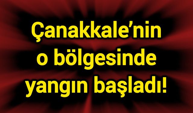 Çanakkale’nin o bölgesinde yangın başladı!