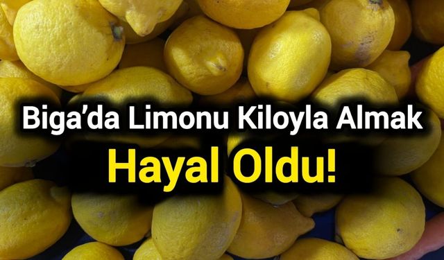 Biga’da limonu kiloyla almak hayal oldu! Pazarlarda tane fiyatı şoke etti