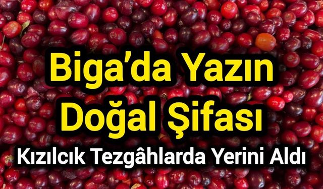 Biga’da yazın doğal şifası: Kızılcık tezgâhlarda yerini aldı