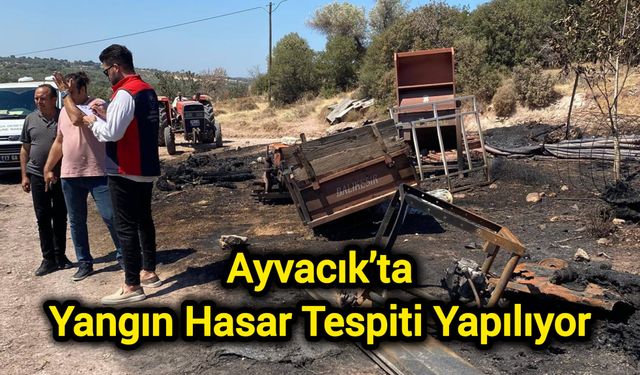 Çanakkale Ayvacık’ta Yangın Hasar Tespiti Yapılıyor