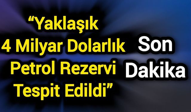 “Yaklaşık 4 milyar dolarlık petrol rezervi tespit edildi”