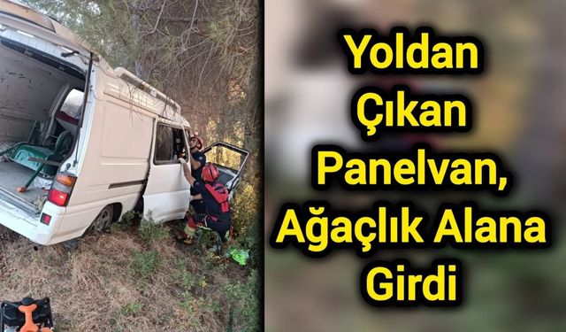 Yoldan çıkan panelvan, ağaçlık alana girdi