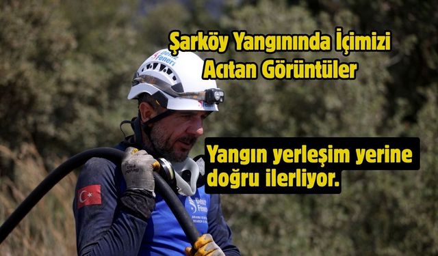 Şarköy Yangınında İçimizi Acıtan Görüntüler