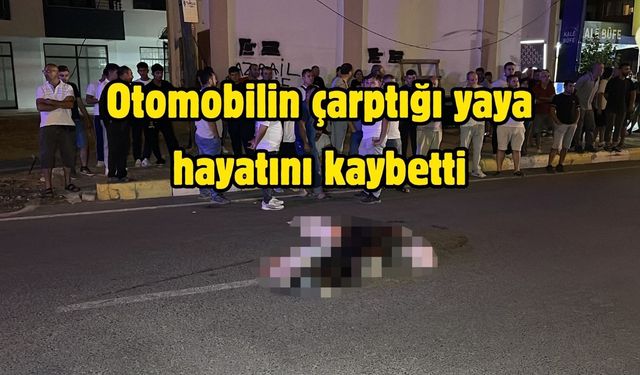 Otomobilin çarptığı yaya hayatını kaybetti