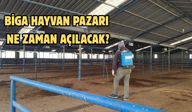 Biga Hayvan Pazarı ne zaman açılacak?