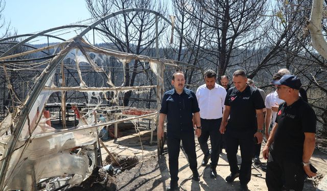 Çanakkale Yangınında Hasar Tablosu Belli Oldu