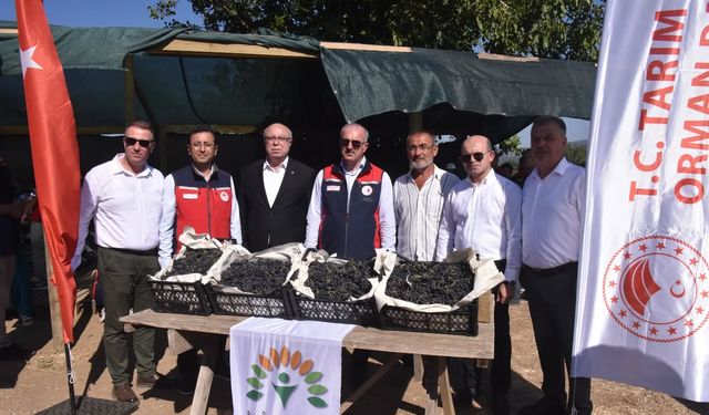 Çanakkale Aronya Üretiminde Üçüncü Sırada