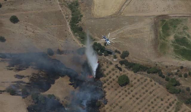 Çanakkale’de bir yangın daha çıktı