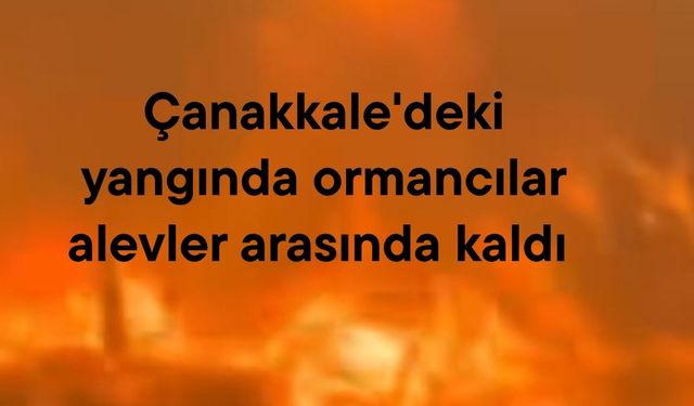 Çanakkale'deki yangında ormancılar alevler arasında kaldı (Video)