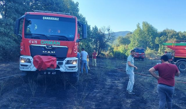 Çanakkale'de zirai alanda çıkan yangın ile ilgili son durum!