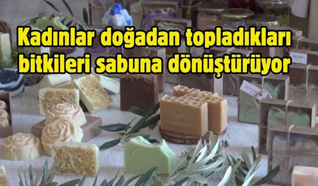 Kadınlar doğadan topladıkları bitkileri sabuna dönüştürüyor