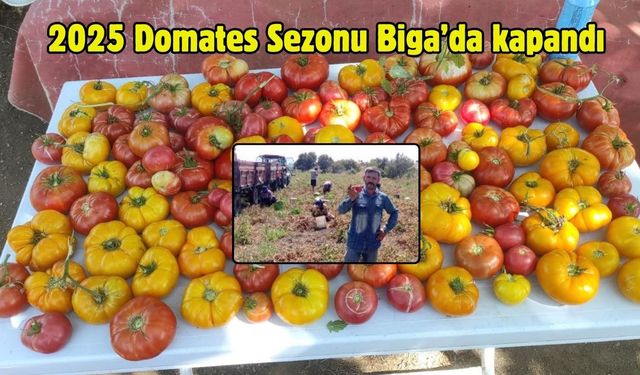 2025 Domates Sezonu Biga’da kapandı