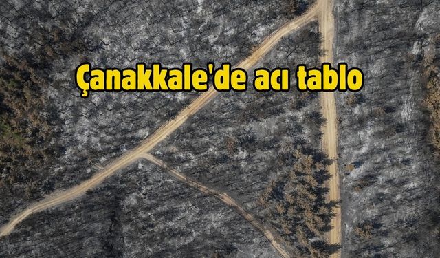 Çanakkale'de yangında zarar gören alanlar dronla görüntülendi