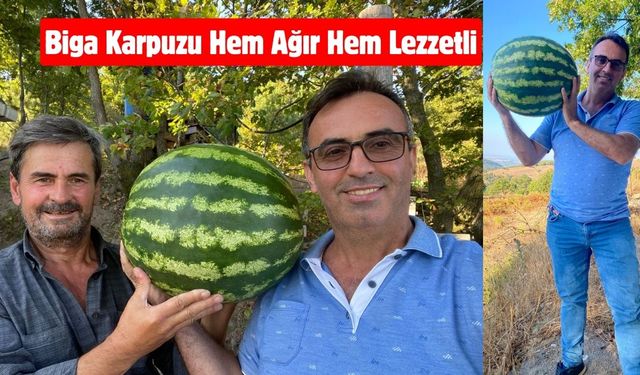 Biga Karpuzu Hem Ağır Hem Lezzetli