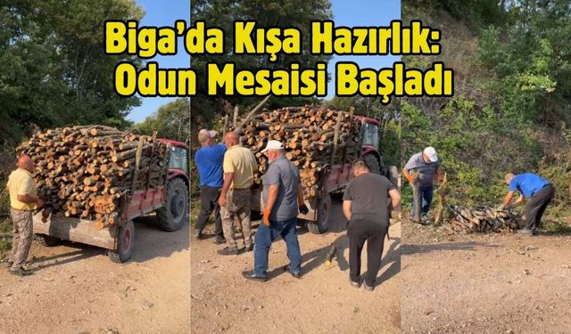 Biga’da Kışa Hazırlık: Odun Mesaisi Başladı