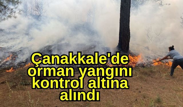 Çanakkale'de orman yangını kontrol altına alındı